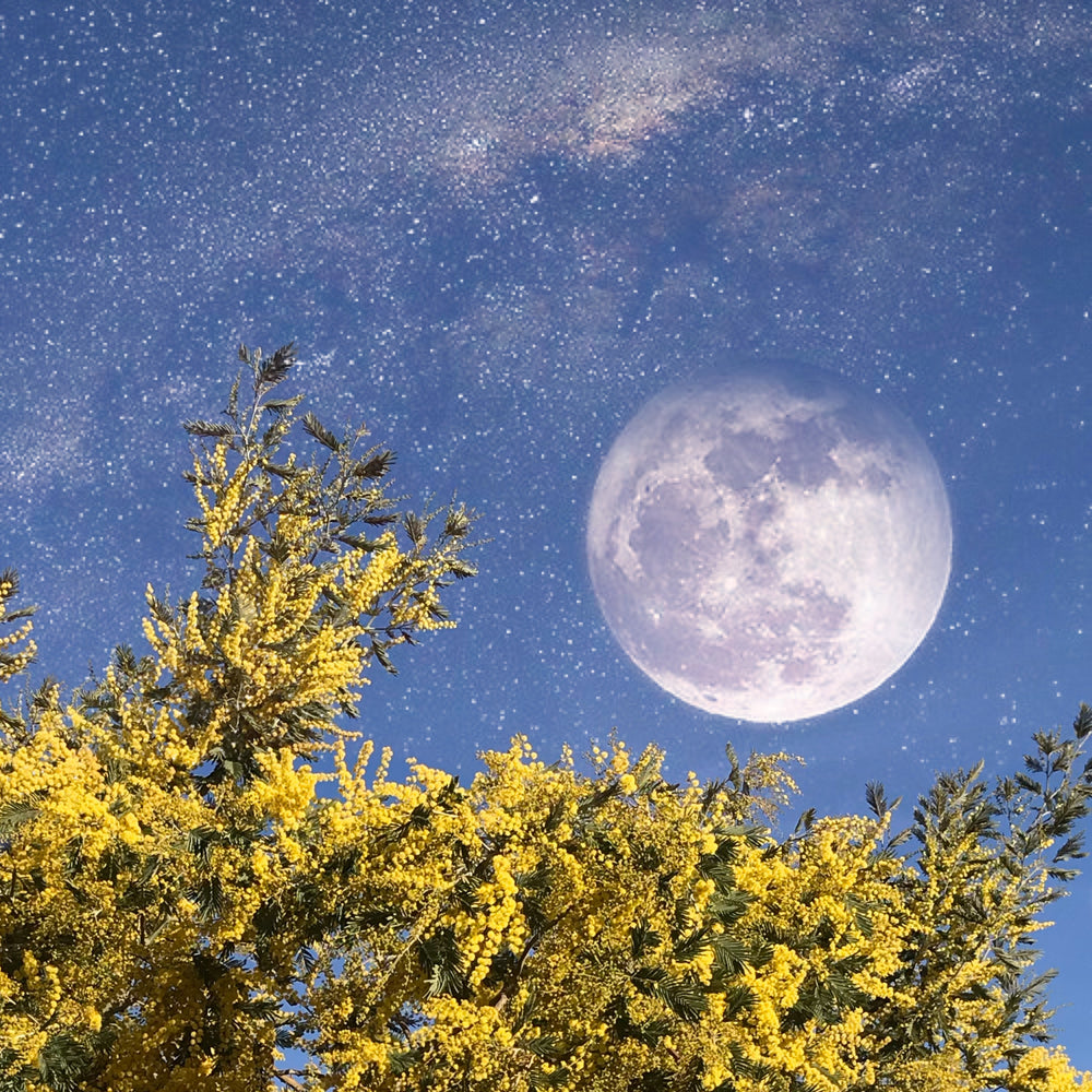 Luna llena en Acuario