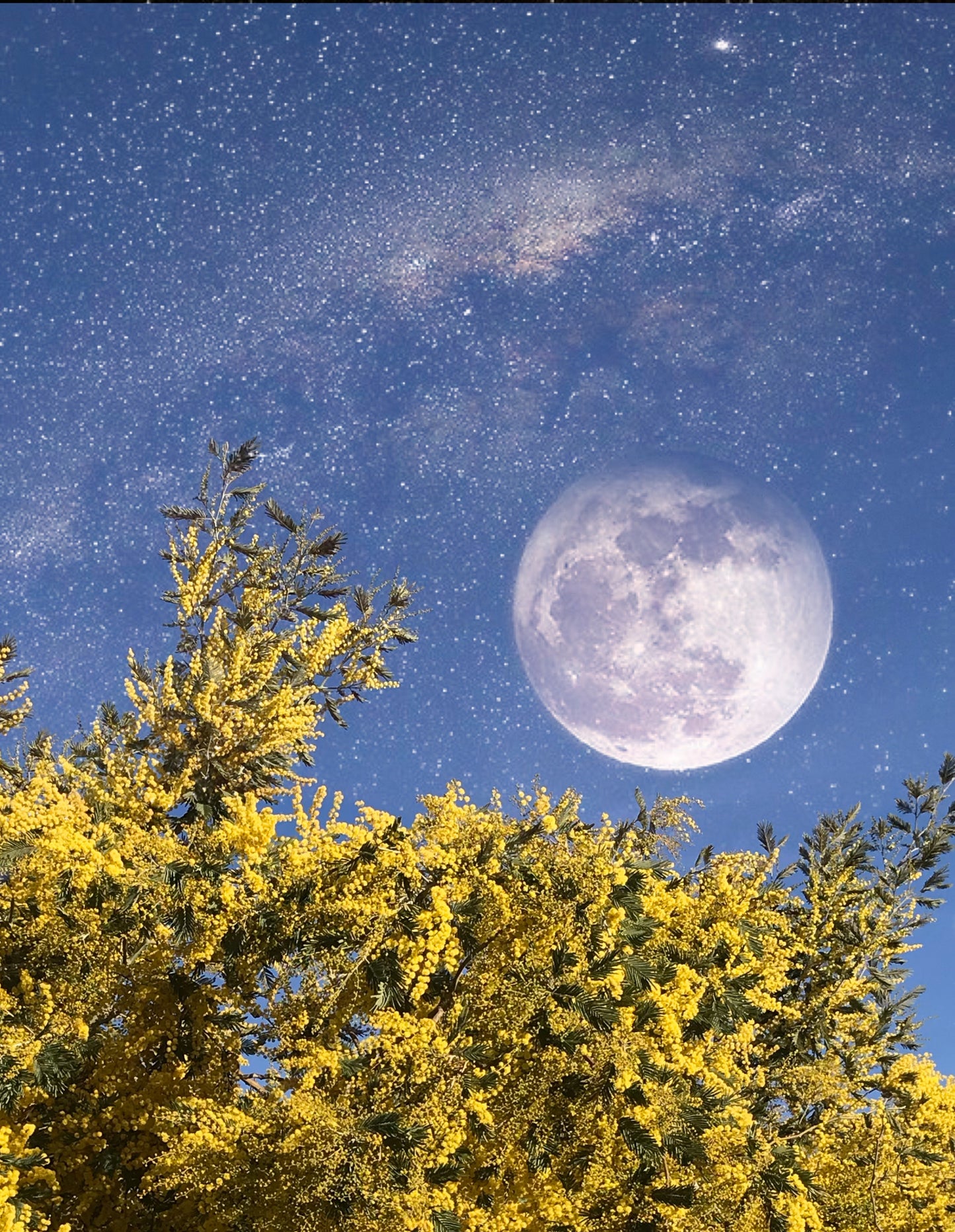 Luna llena en Acuario